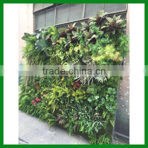 FO-GW018 Outdoor Green Plant Wall for Decor