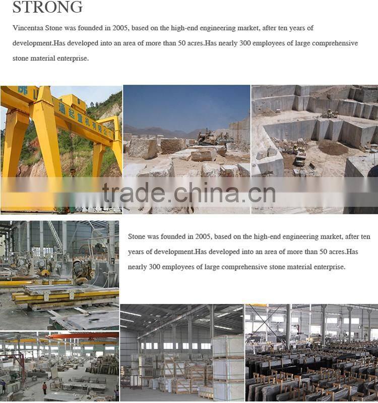 Construction material high quality natural stone 648 granite slab