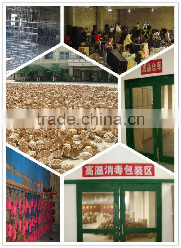 Square Water- Hyacinth basket/flowerpot