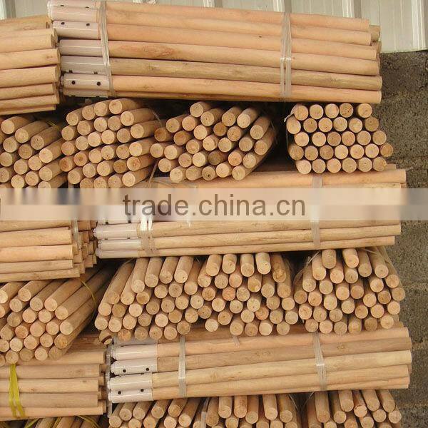 Natural tool handle for brush