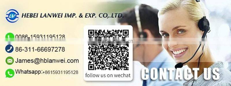 high quality cheap price lanwei wcb check valve with BSP for water