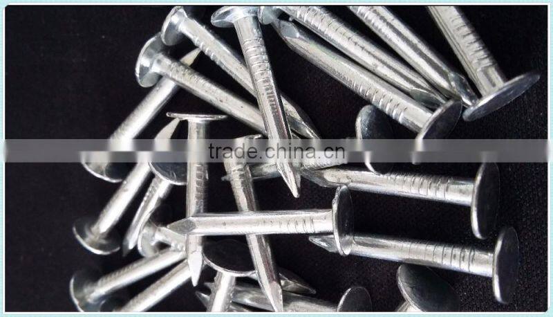 coil roofing,factory direct sale nails