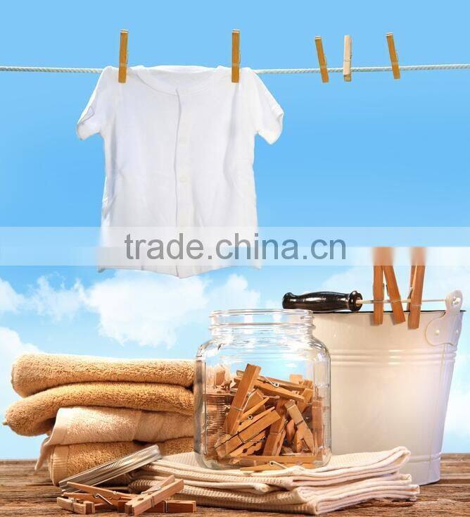 2016 Manufacture clothes peg set