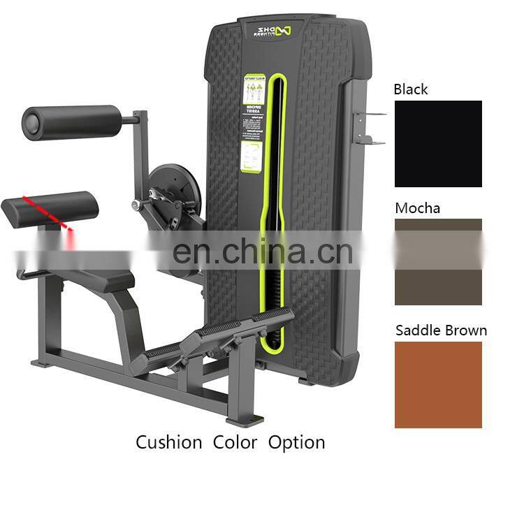 Dhz Fitness E4031A Back Extension Commercial Grade Gym Equipment