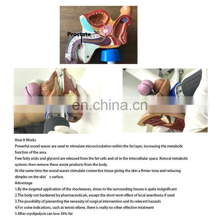 Best selling product 2021 lumbar back pain relief device erectile dysfunction machine cryo t shock machine