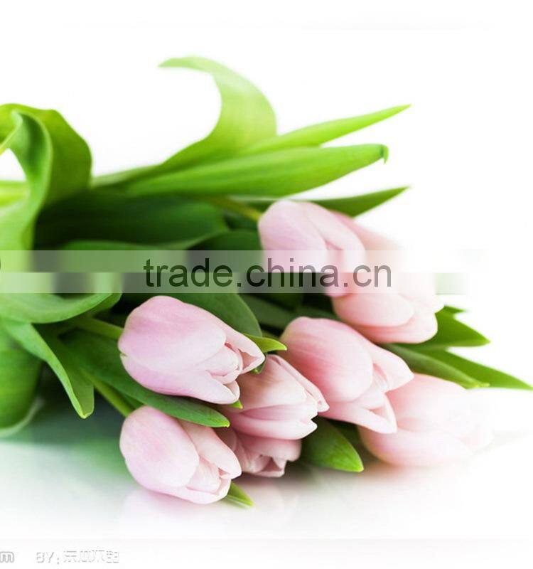 Fashionable Crazy Selling fresh cut gold tulip flower