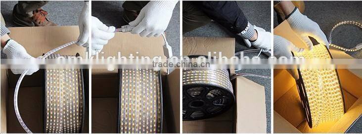 2015 strips light 5050 LED flex 7.2W christmas lights