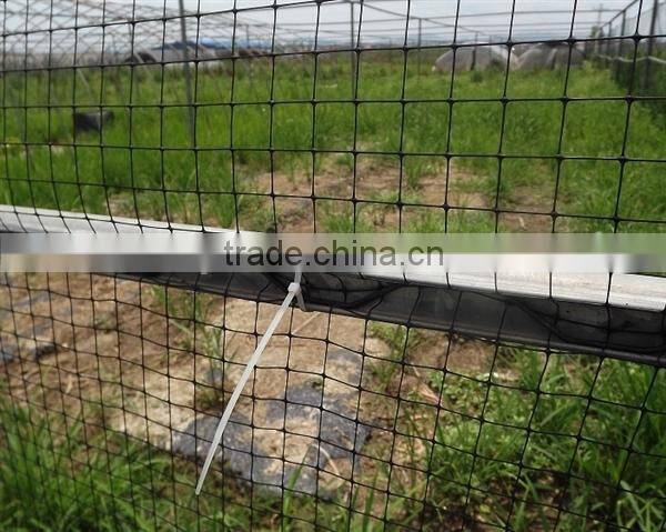 100% original HDPE raw material with UV additives Crop protection anti bird net jaring pelindung tanaman