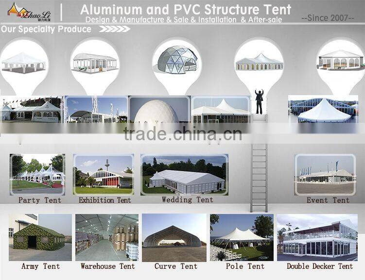 Manufacturer supply 10x10 canopy wholesale canopy