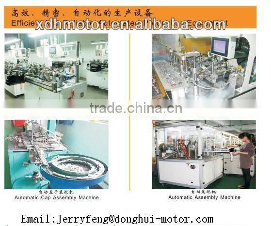 Low Cost 6V/12V DC Electric Motor for Massager and Toys