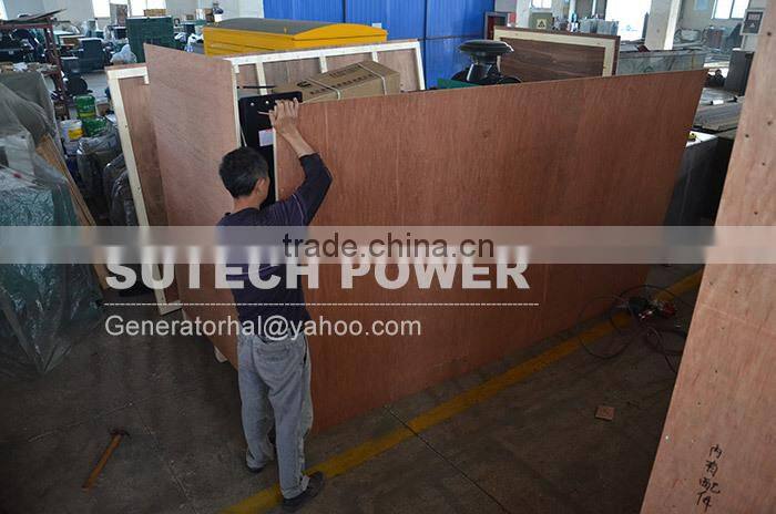 250kva generator set powered by China shangchai engine with low price and good service(hot sale)