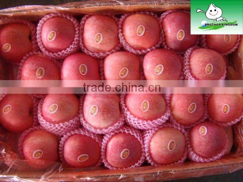 China red fresh fuji apple price