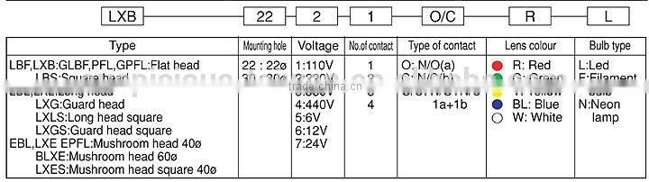 22mm Illuminated ON -OFF Push Button Switch LED/Neon (GPFL22)