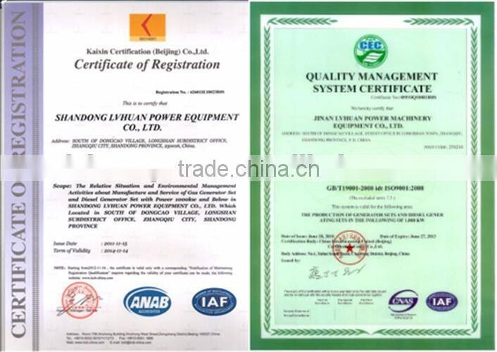 coal gasifier generating electricity 300kw gas genset