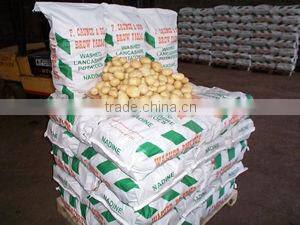 10kg to 25kg bagging machine for potatoes