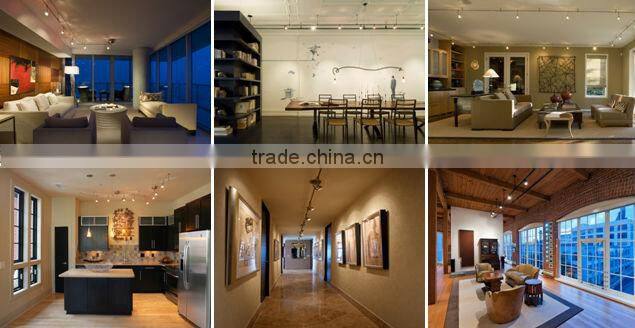 Clothing store led cob track light 30W spotlighting black housing 3 wires 110V Guangzhou factory CE and SAA