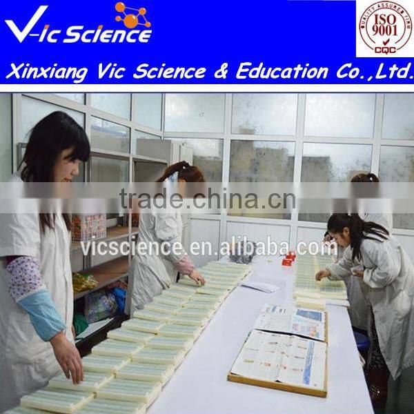 Lab Using 5/10/12/25/27/30/50/100 Glass Microscope Slides Box