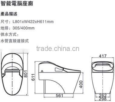 Intelligentize Electric Toilet DI735A