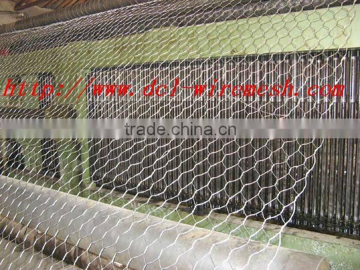 electro galvanized gabion /electro chicken wire mesh