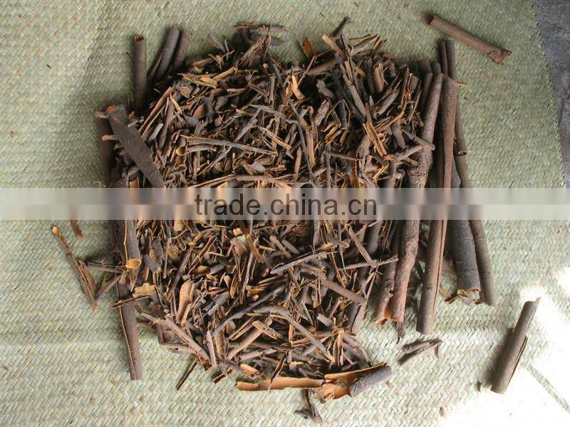 China Brand New Broken Cassia Cinnamon