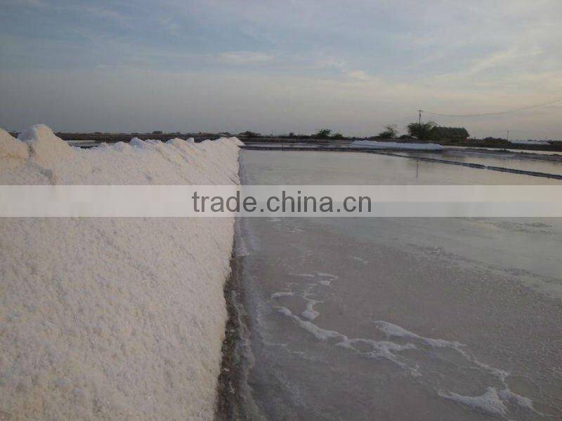Excellent Grade Of Free Flow Salt available at Tuticorin