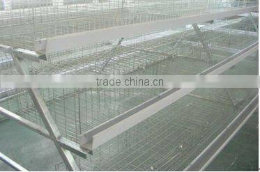 Automatic chicken cage
