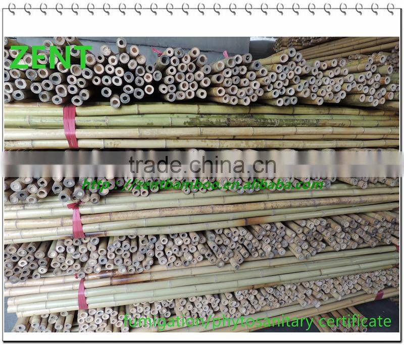 ZENT-161 Small bamboo poles