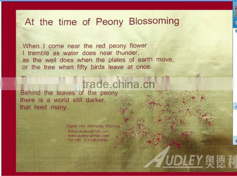 China NO.1 digital hot foil printer for the printing bag -ADL3050A