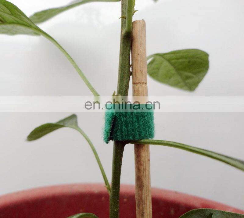 Green reusable plant ties loop and hook ties