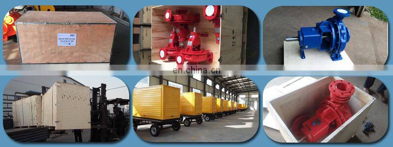 Shijiazhuang Standard Horizontal Slurry Pump