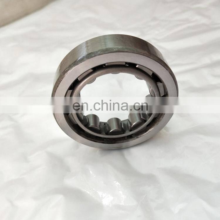 Cylindrical Roller Bearing RNU306 RNU 306