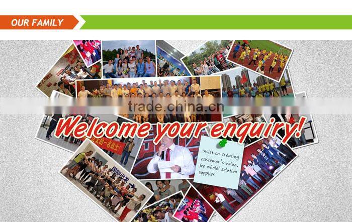 CE hot sell new model standing heater , free standing gas heater , outdoor portable gas heater