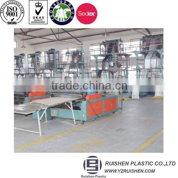 Biodegradable soft loop handle plastic bag with reinforced handle