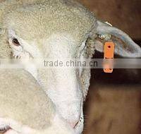 sell animal sheep ear tag ,laser ear tag