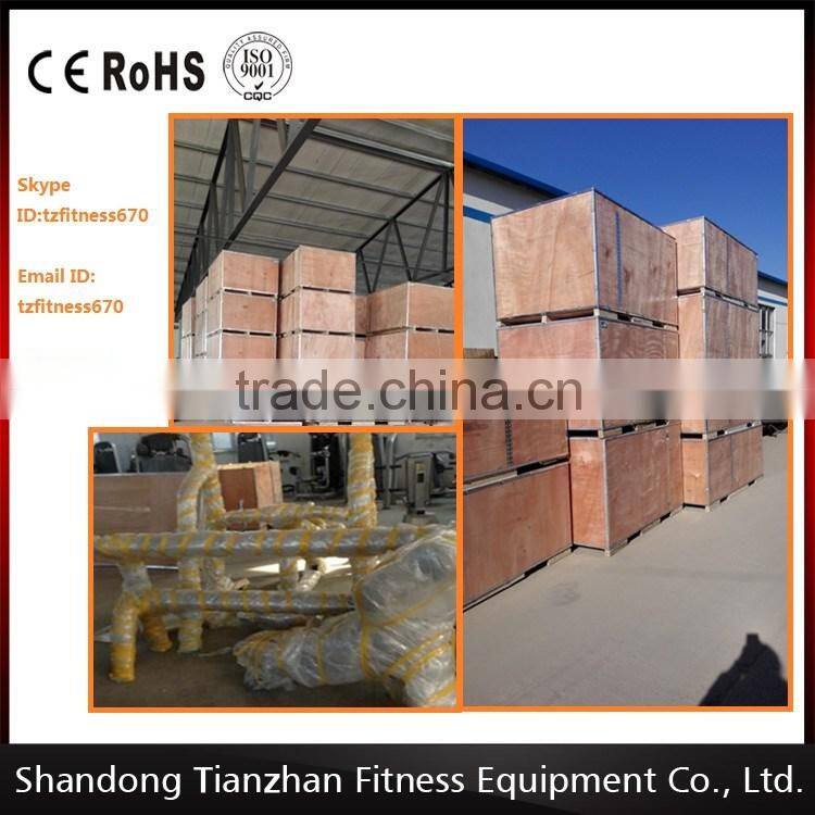 High Quality Lateral Raise for GYM ISO SGS TUV CE Approved TZ Fitness