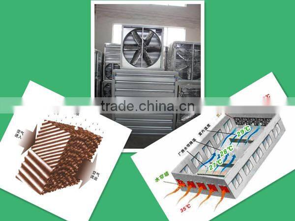 good quality broiler floor raising system