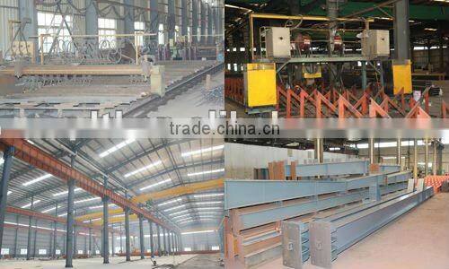 steel structure warehouse / factory
