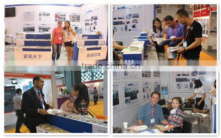 Factory Custom anti-theft license plate screw with plastic cap