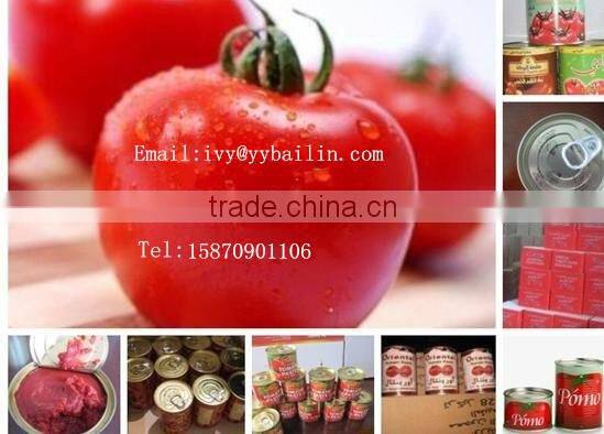 Bright Red Color Canned 28-30% Tomato Paste