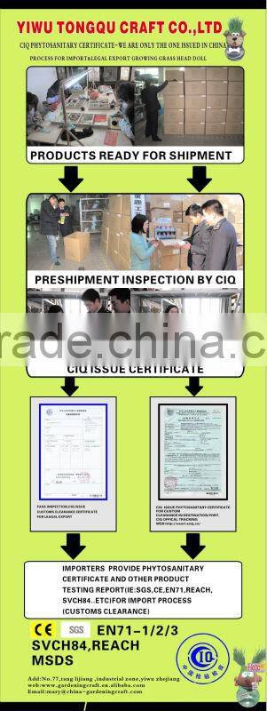 Naughty Growing Grass Head Doll Wholesaler