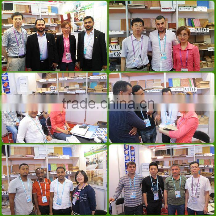 3.0mm/4.2mm factory price whole sale laminate door skin