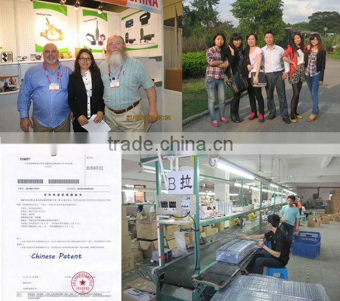 Original !!! Dog Training Video