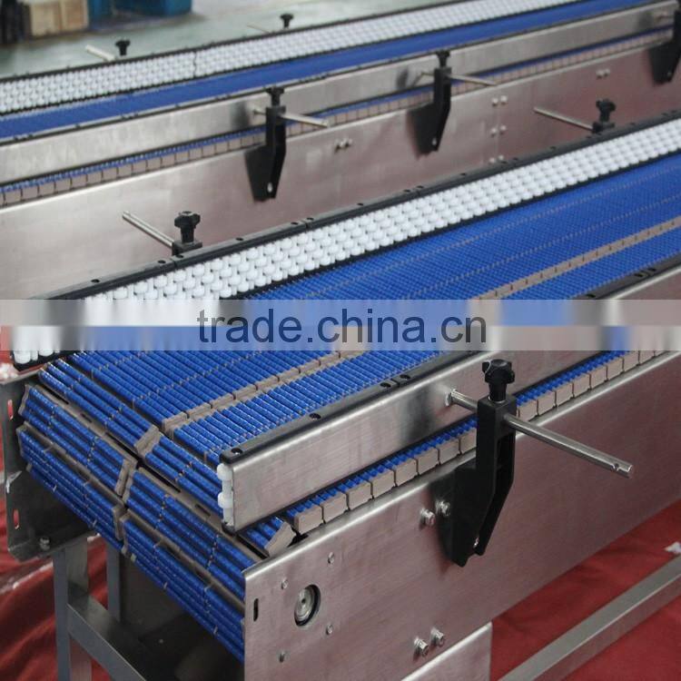 roller chain conveyor system for accumulation application