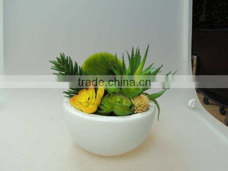 small ceramic potted plants