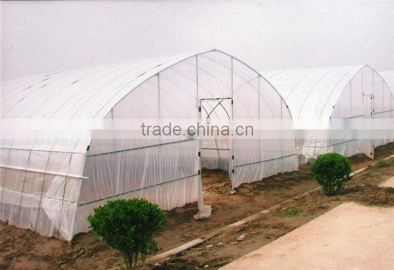 Poly tunnel greenhouse single span greenhouse tunnel greenhouse for sale