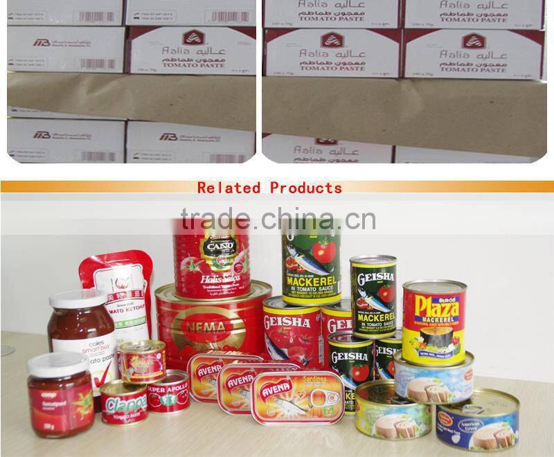 Low Price Wholesale tomato paste processing plant 70gX50tins