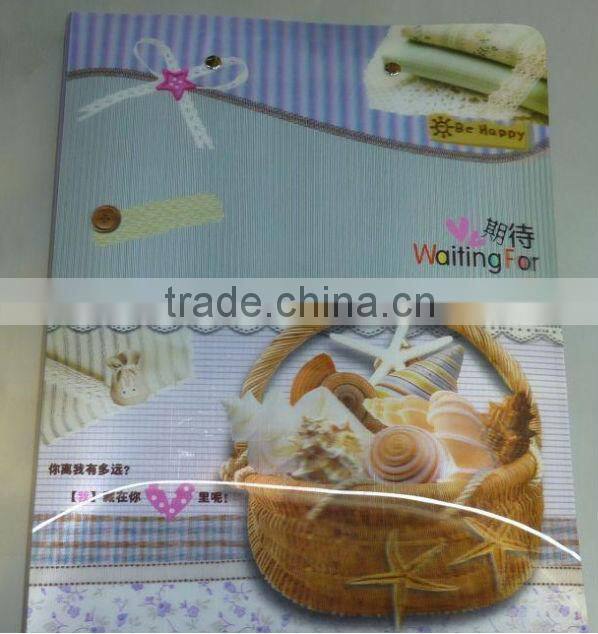 2013 custom a4 plastic pocket folders