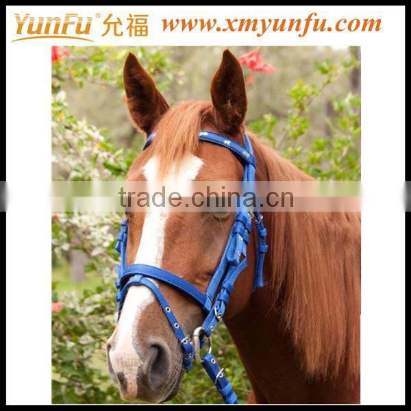 Custom Factory Brass horse halter hardware