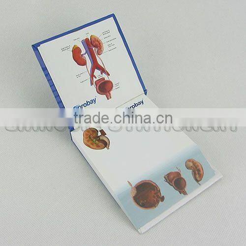 Customized medical memo pad