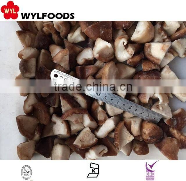 iqf price for frozen shiitake quarter 2015 crop